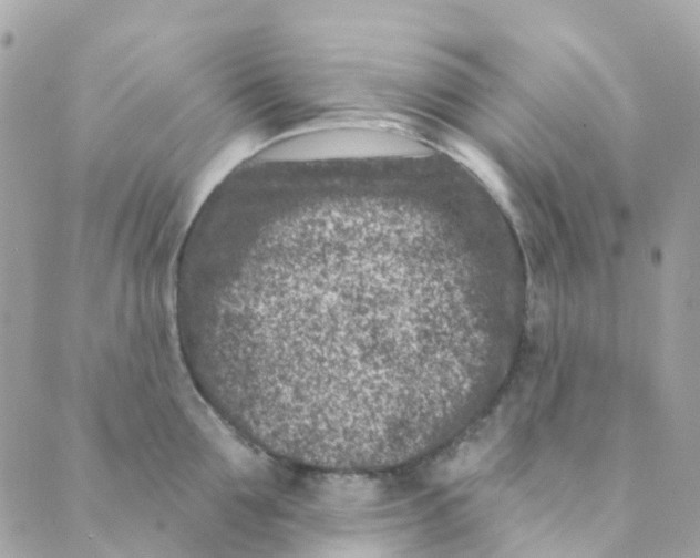 X0000089440907200707061405