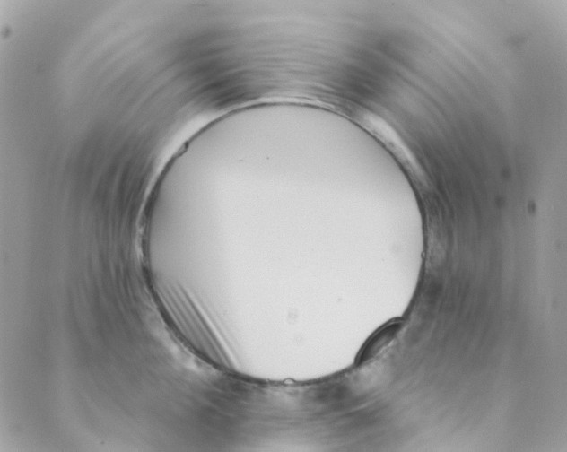 X0000089440908200707061405