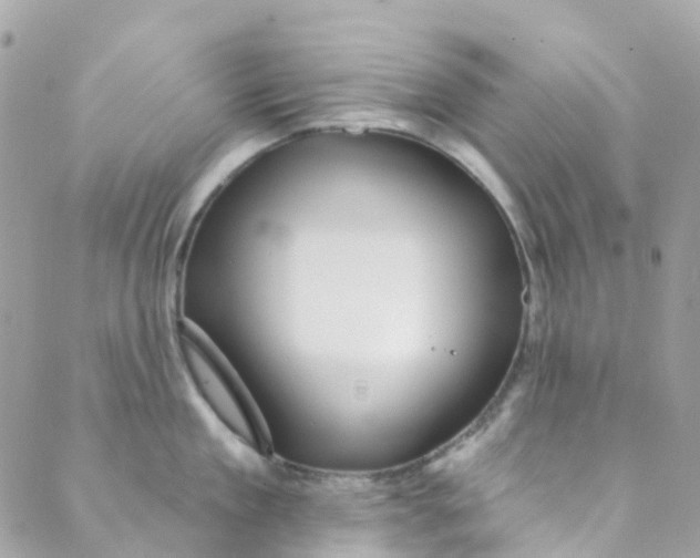 X0000089440909200707061405