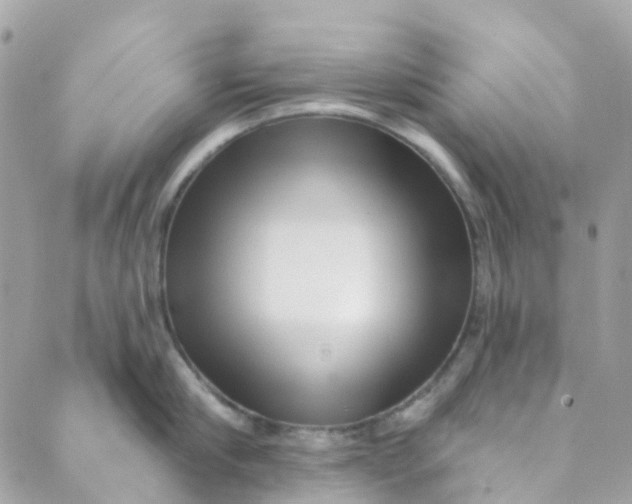 X0000089440910200707061405