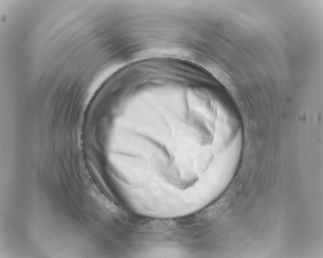 X0000089440912200707061405