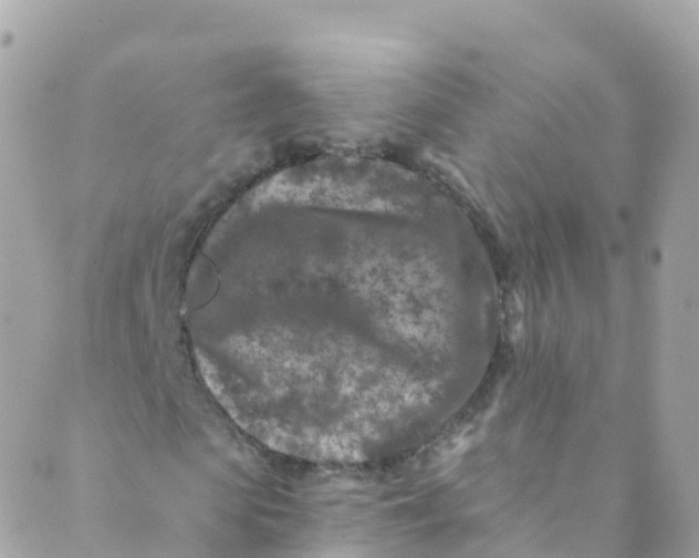 X0000089440913200707061404