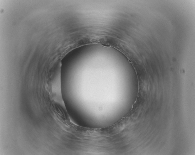 X0000089440914200707061404