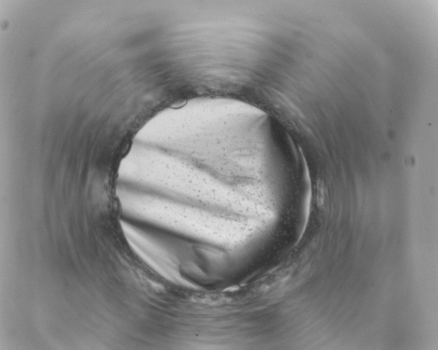 X0000089440915200707061404