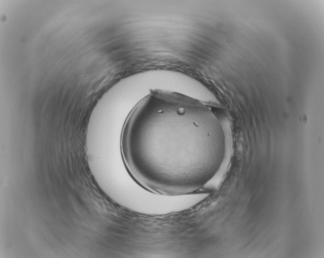 X0000089440916200707061404