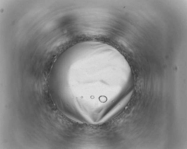 X0000089440917200707061404