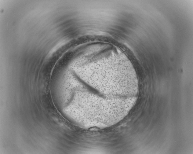 X0000089440919200707061404