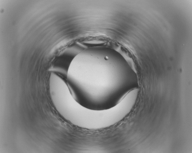 X0000089440920200707061404