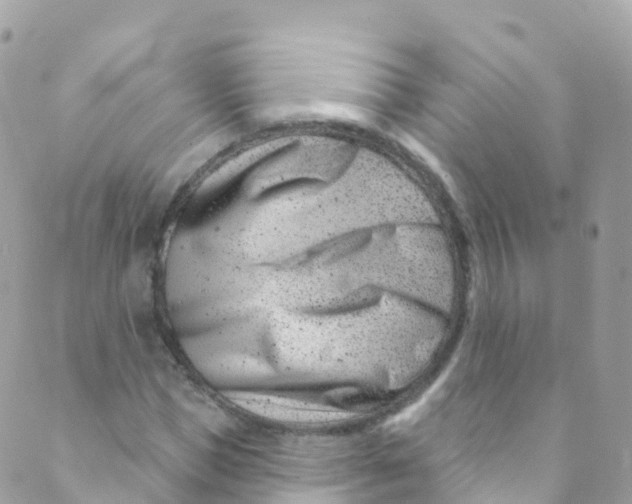 X0000089440921200707061404