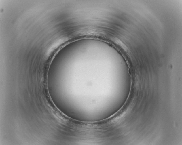 X0000089440922200707061404