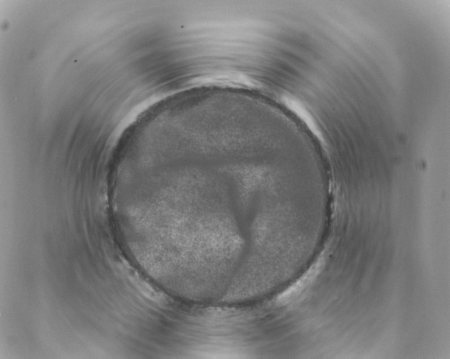 X0000089440923200707061405