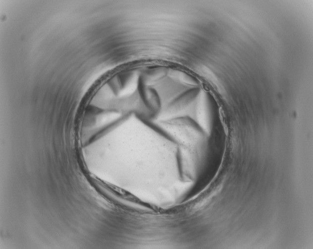 X0000089440924200707061405