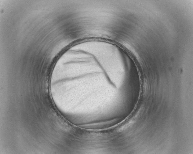 X0000089440925200707061405