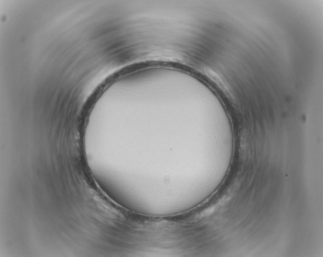 X0000089440926200707061405