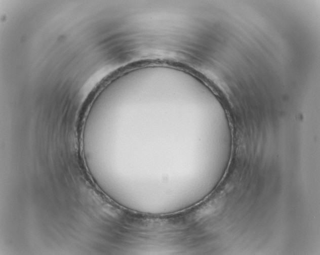 X0000089440927200707061405