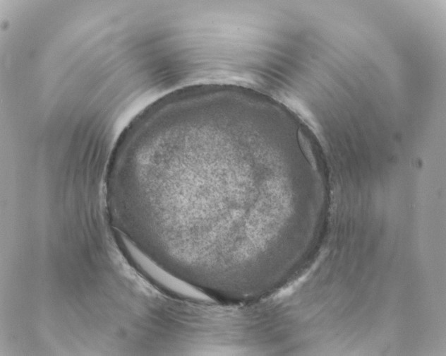 X0000089440928200707061405