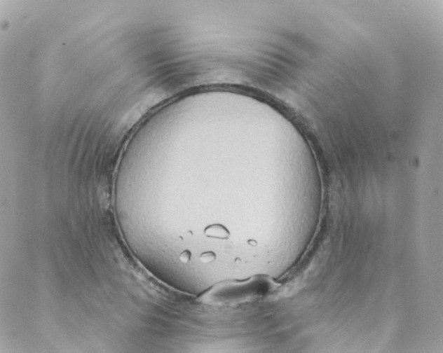 X0000089440929200707061405