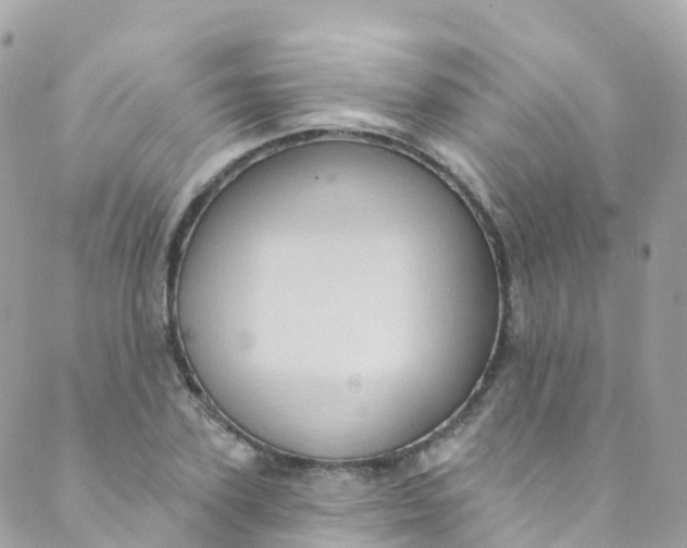 X0000089440931200707061405