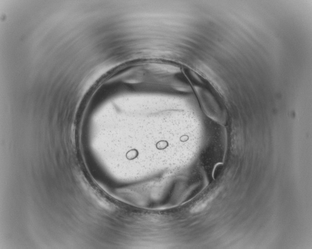 X0000089440932200707061405