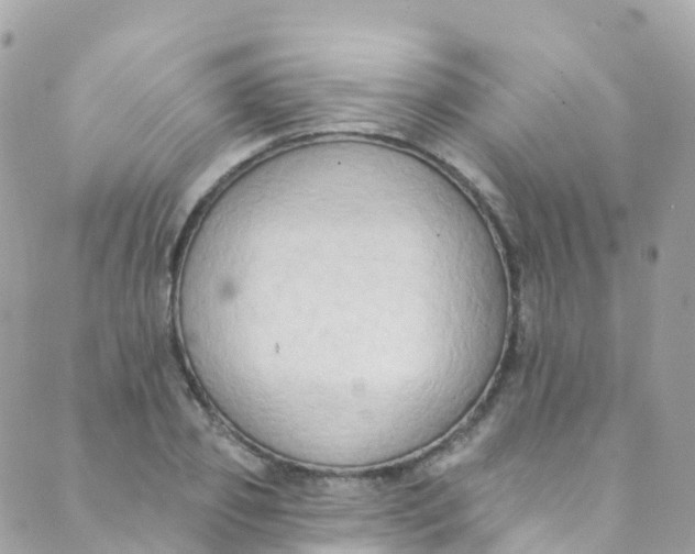 X0000089440933200707061405