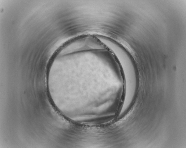 X0000089440934200707061405