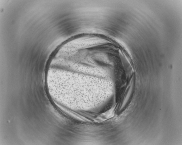 X0000089440935200707061405