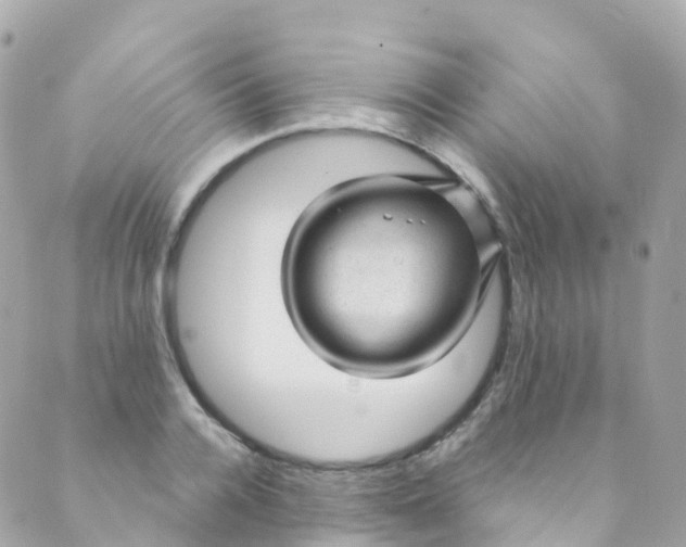 X0000089440936200707061405