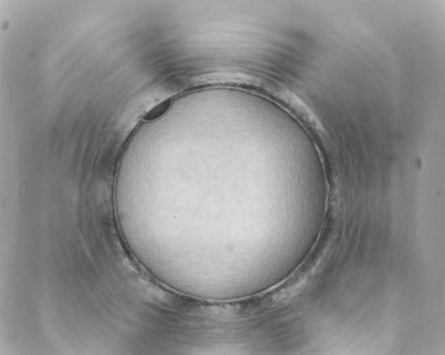 X0000089440937200707061405