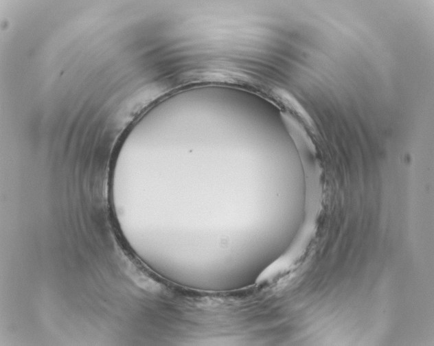 X0000089440938200707061405