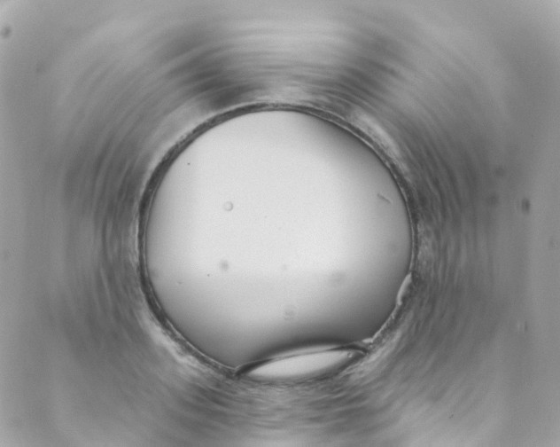 X0000089440939200707061405