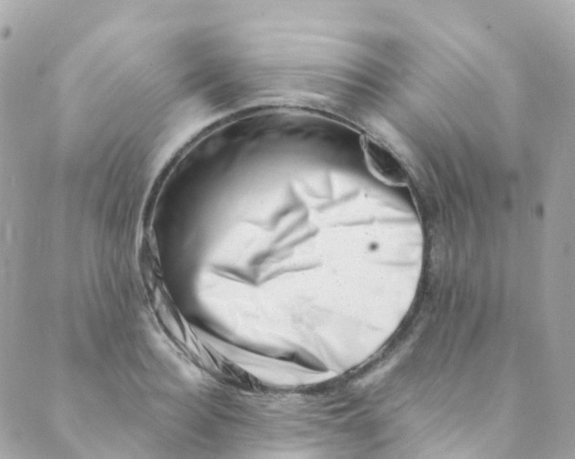 X0000089440940200707061405