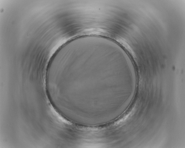 X0000089440941200707061405