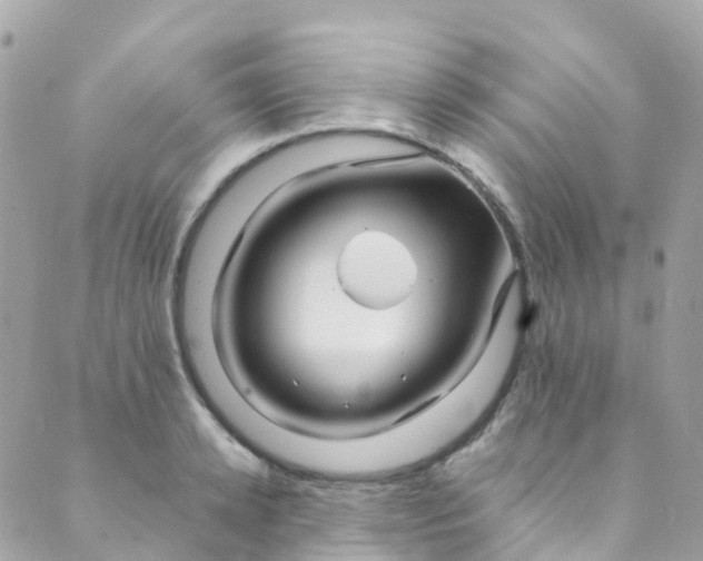 X0000089440942200707061405