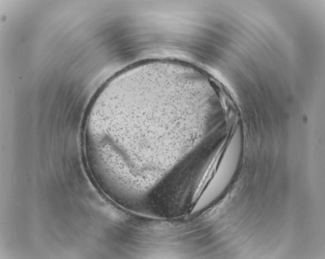 X0000089440943200707061405