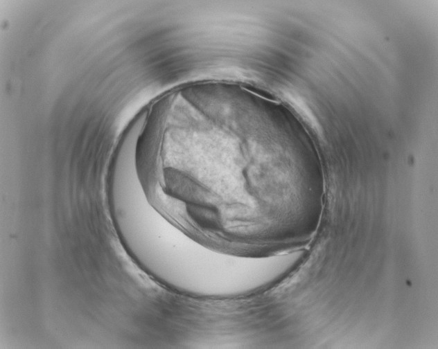 X0000089440944200707061405