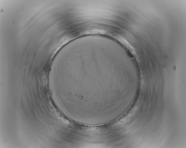 X0000089440945200707061405