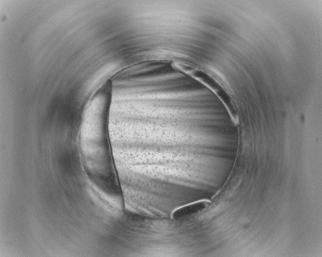 X0000089440946200707061405