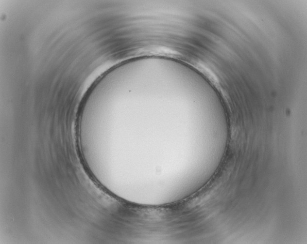 X0000089440947200707061405