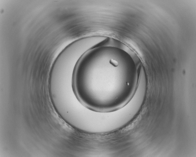 X0000089440948200707061405