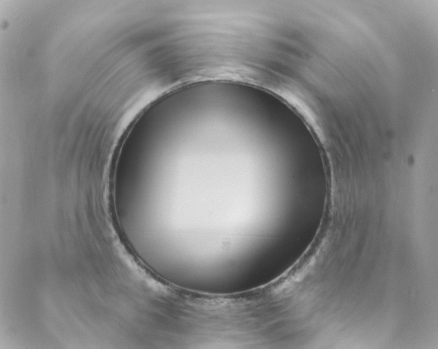 X0000089440949200707061405