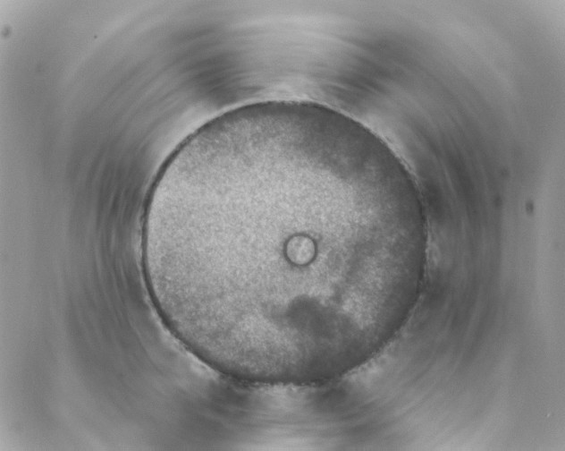 X0000089440950200707061405