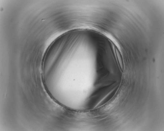 X0000089440951200707061405