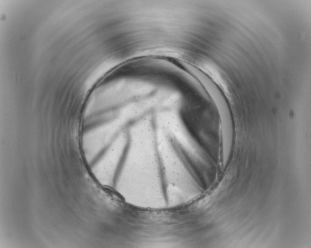 X0000089440952200707061405