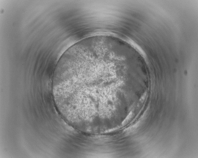 X0000089440953200707061405