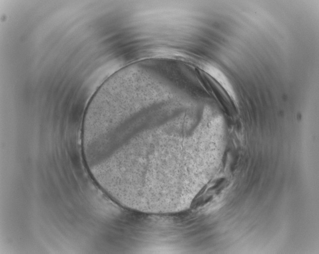 X0000089440954200707061405