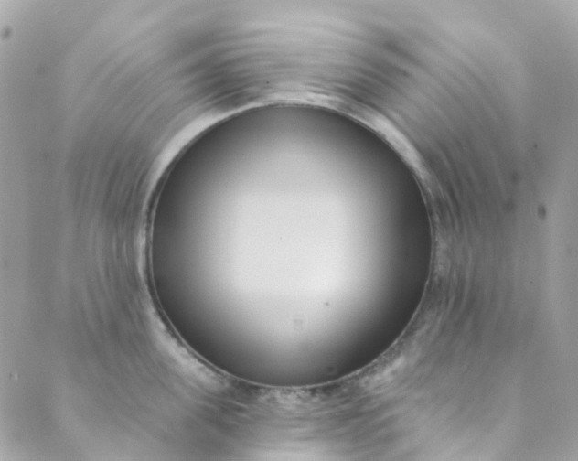 X0000089440955200707061405