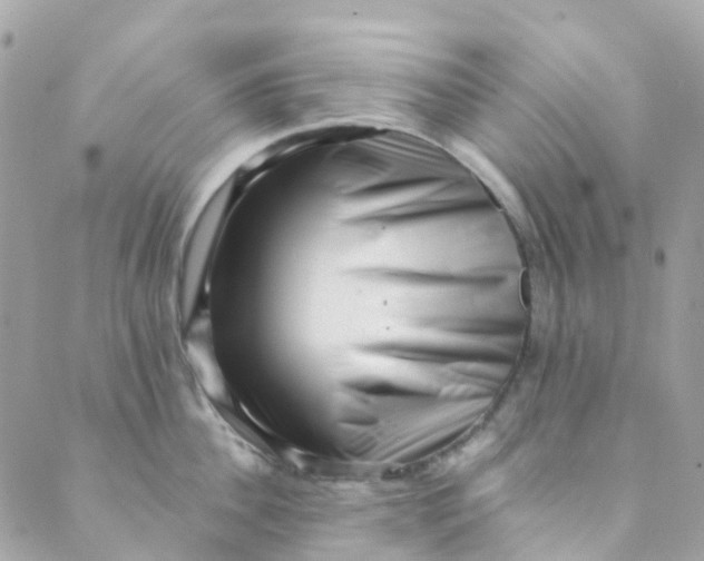 X0000089440956200707061405