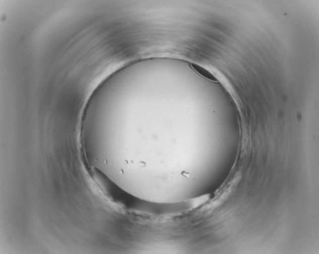 X0000089440957200707061405