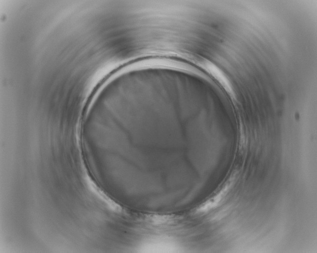 X0000089440958200707061405