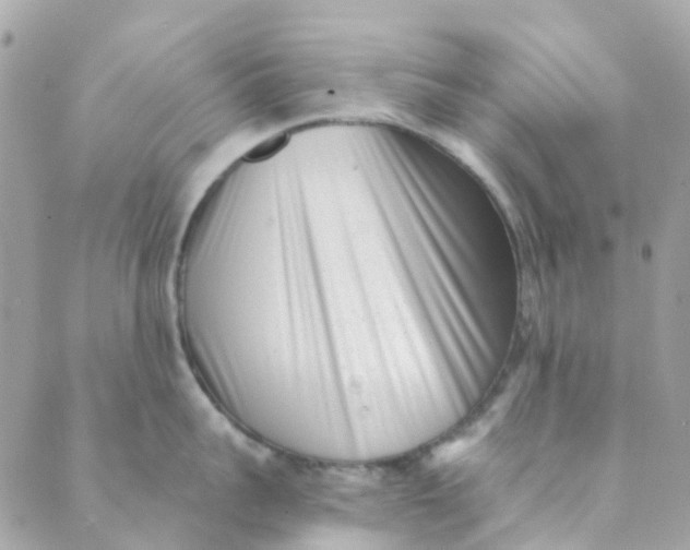 X0000089440959200707061405